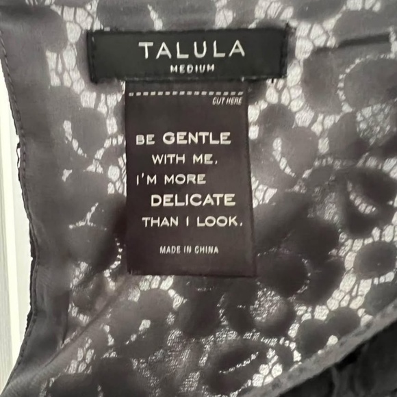 Aritzia Talula Lace Dress - Picture 3 of 3